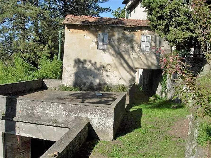 Immagine 18 di Rustico / casale in vendita  a Borgo A Mozzano