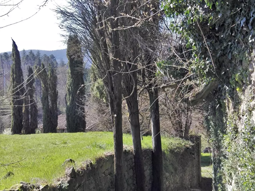 Immagine 26 di Rustico / casale in vendita  a Borgo A Mozzano