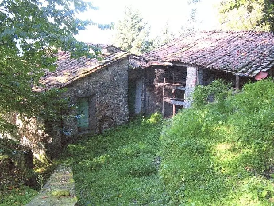 Immagine 20 di Rustico / casale in vendita  a Borgo A Mozzano