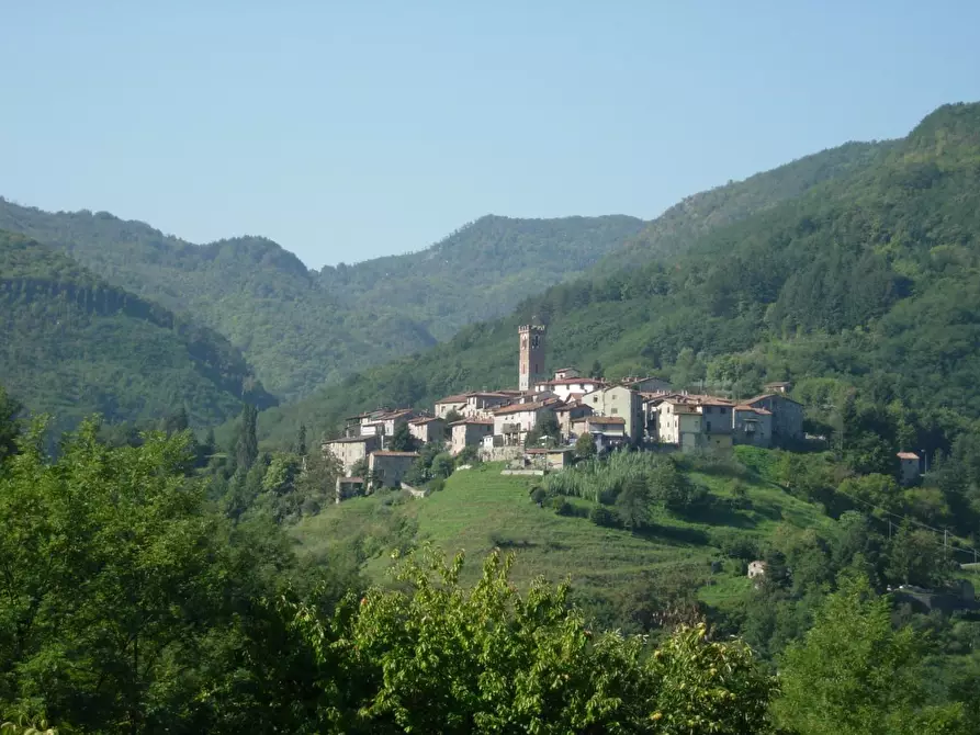 Immagine 31 di Rustico / casale in vendita  a Borgo A Mozzano