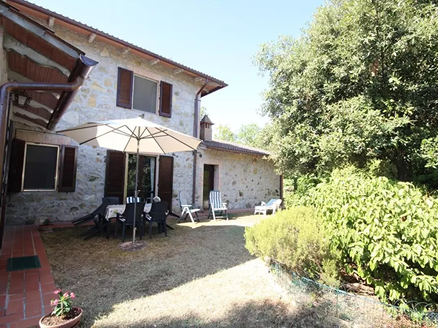 Immagine 12 di Villa in vendita  a Murlo