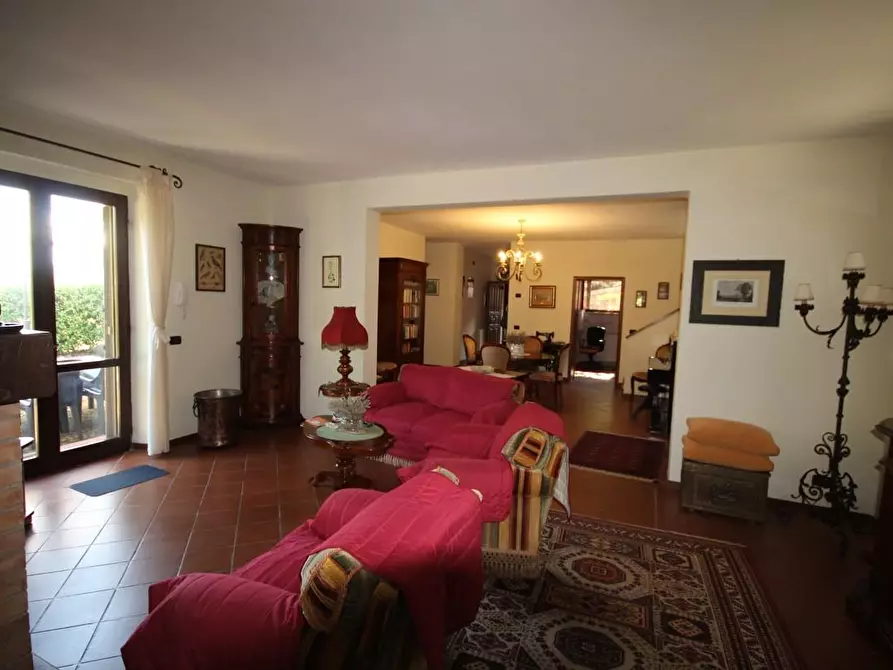 Immagine 4 di Villa in vendita  a Murlo