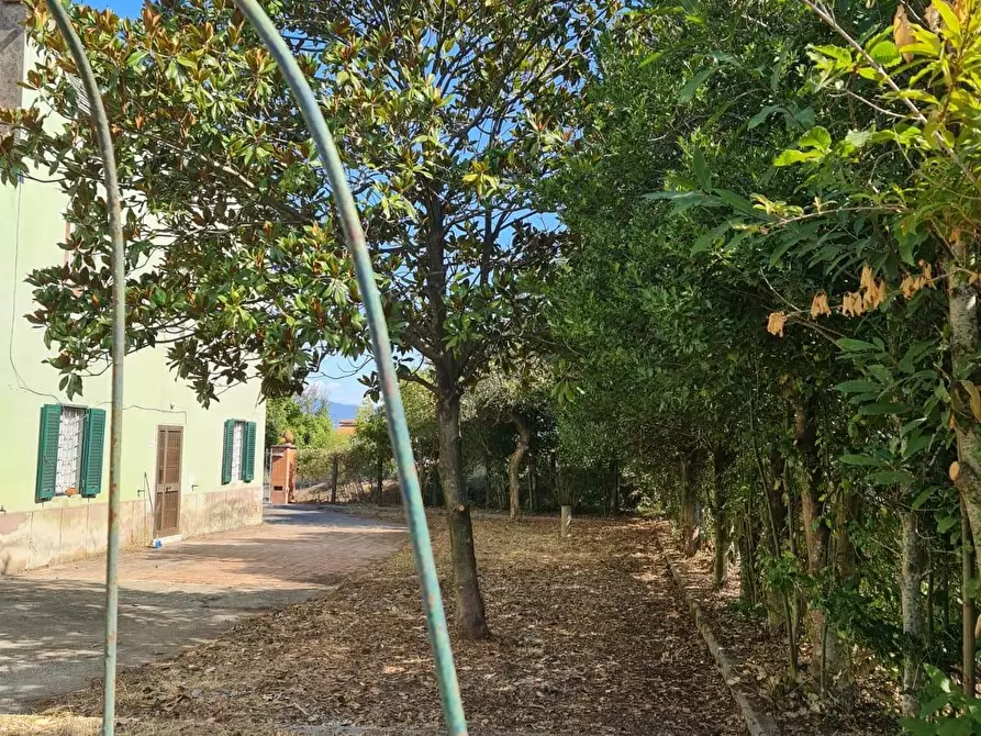 Immagine 7 di Rustico / casale in vendita  a Capannori