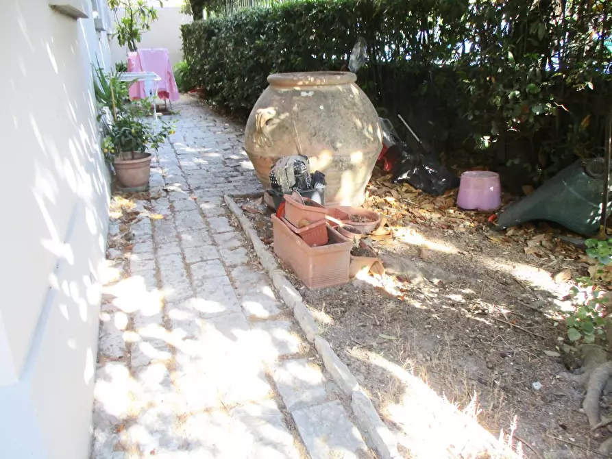 Immagine 4 di Appartamento in vendita  a Pontedera