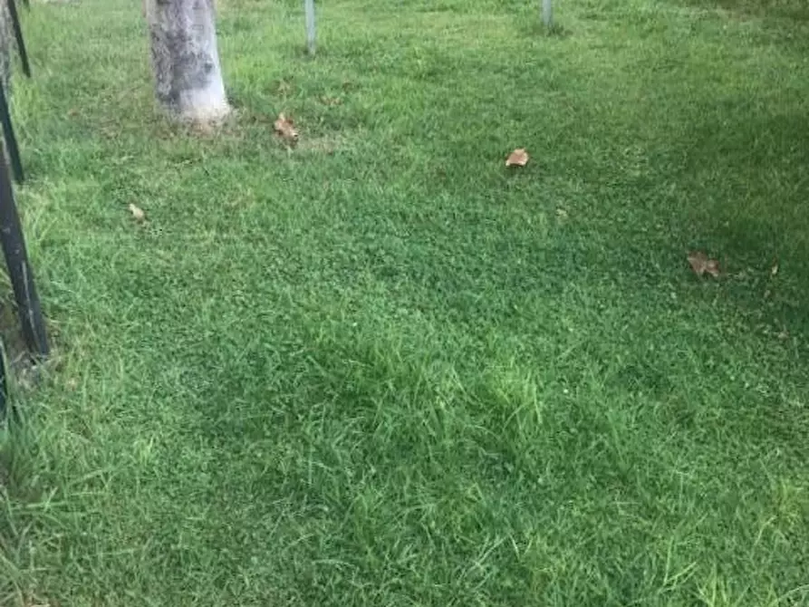 Immagine 2 di Casa bifamiliare in vendita  a Massa