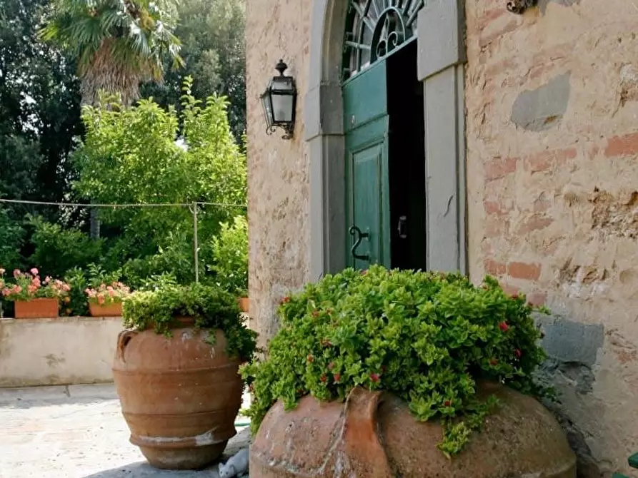 Immagine 3 di Palazzo in vendita  a Casciana Terme Lari