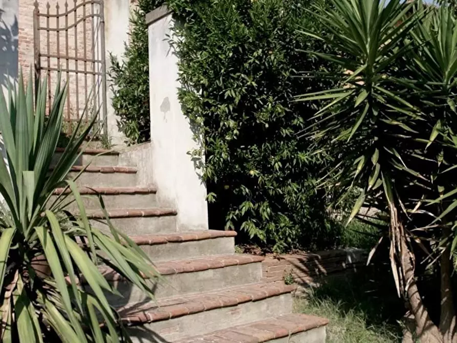 Immagine 27 di Palazzo in vendita  a Casciana Terme Lari