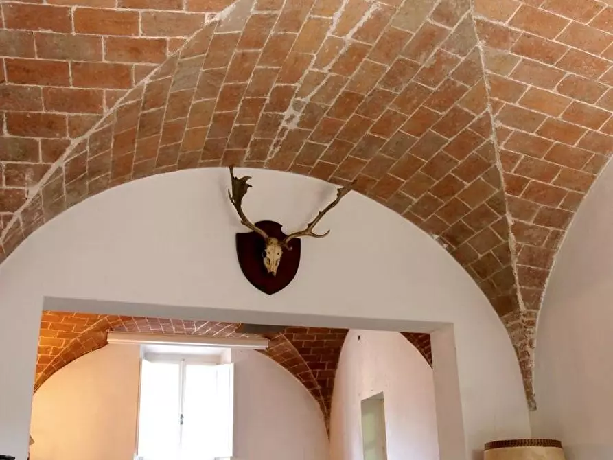 Immagine 30 di Palazzo in vendita  a Casciana Terme Lari