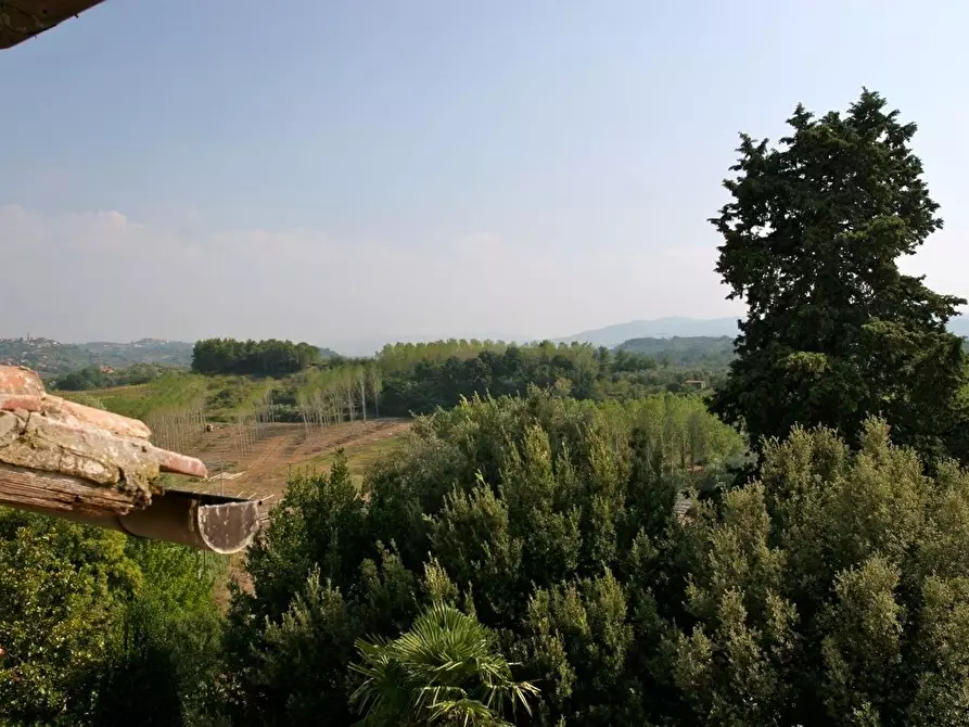 Immagine 17 di Palazzo in vendita  a Casciana Terme Lari