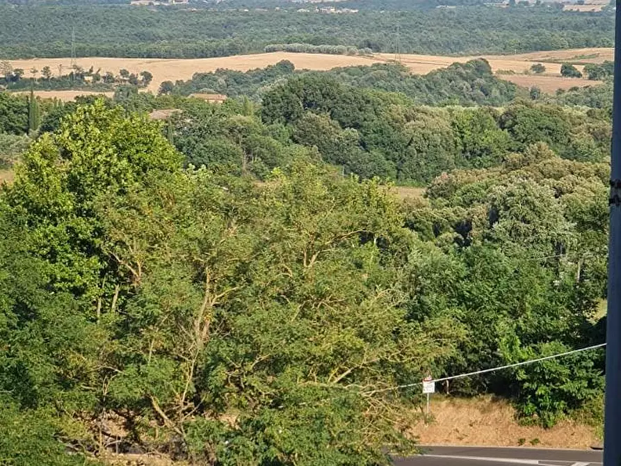 Immagine 17 di Appartamento in vendita  a San Gimignano