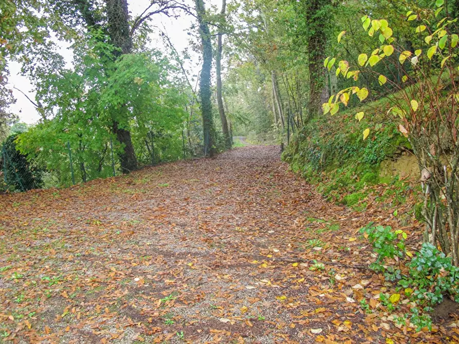 Immagine 52 di Villa in vendita  a Palaia