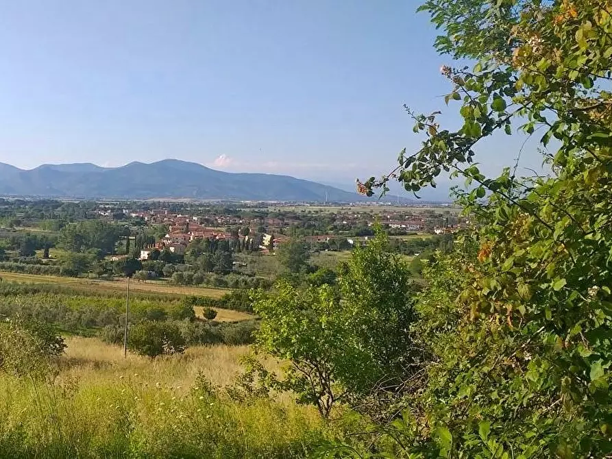 Immagine 10 di Terreno residenziale in vendita  a Casciana Terme Lari