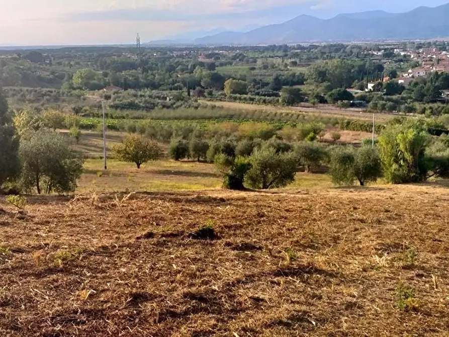 Immagine 2 di Terreno residenziale in vendita  a Casciana Terme Lari