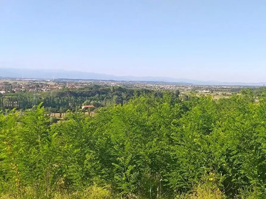 Immagine 3 di Terreno residenziale in vendita  a Casciana Terme Lari
