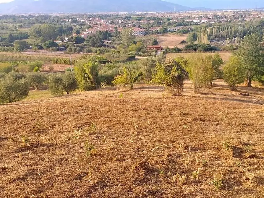Immagine 9 di Terreno residenziale in vendita  a Casciana Terme Lari
