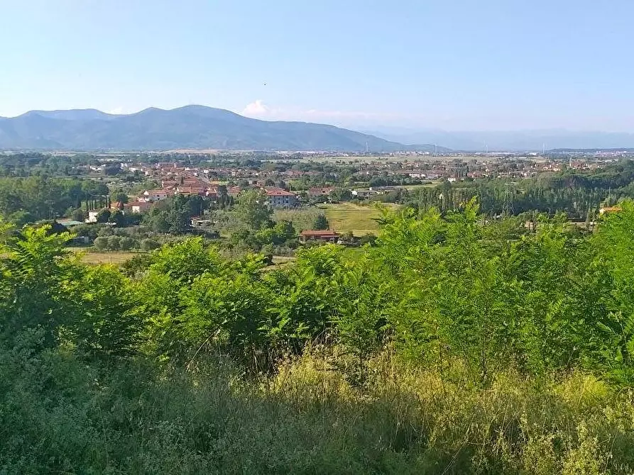 Immagine 7 di Terreno residenziale in vendita  a Casciana Terme Lari