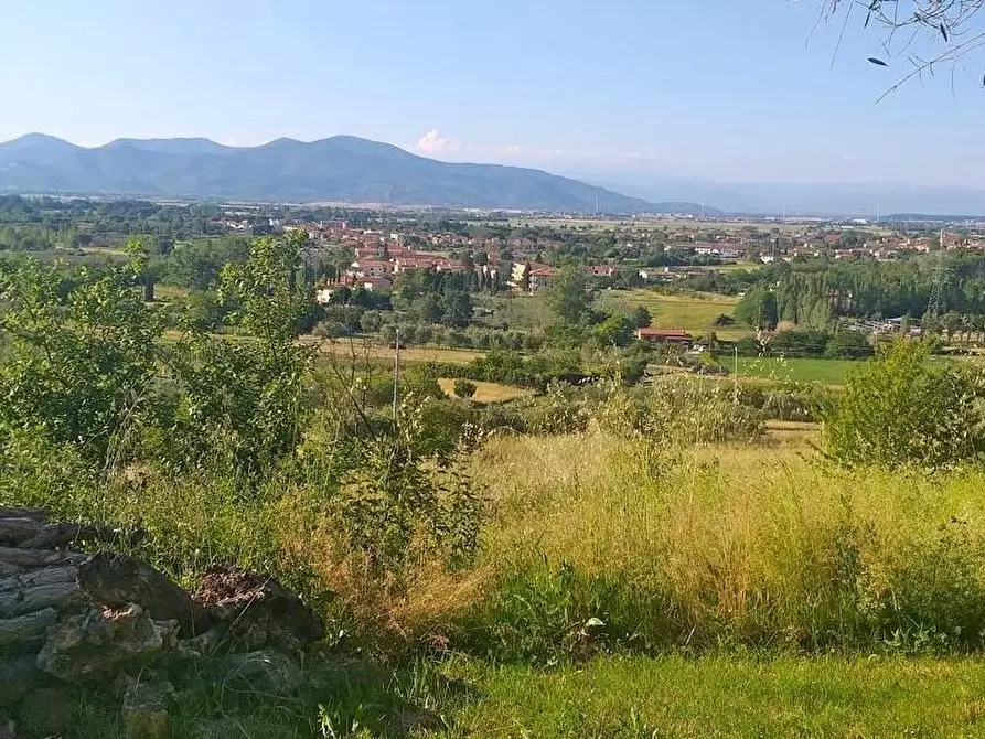 Immagine 4 di Terreno residenziale in vendita  a Casciana Terme Lari