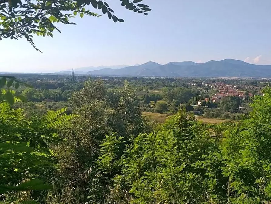 Immagine 6 di Terreno residenziale in vendita  a Casciana Terme Lari