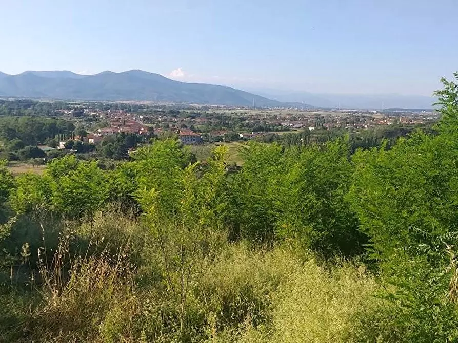 Immagine 5 di Terreno residenziale in vendita  a Casciana Terme Lari