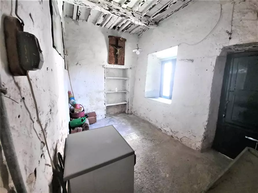 Immagine 9 di Terratetto in vendita  a Capannori