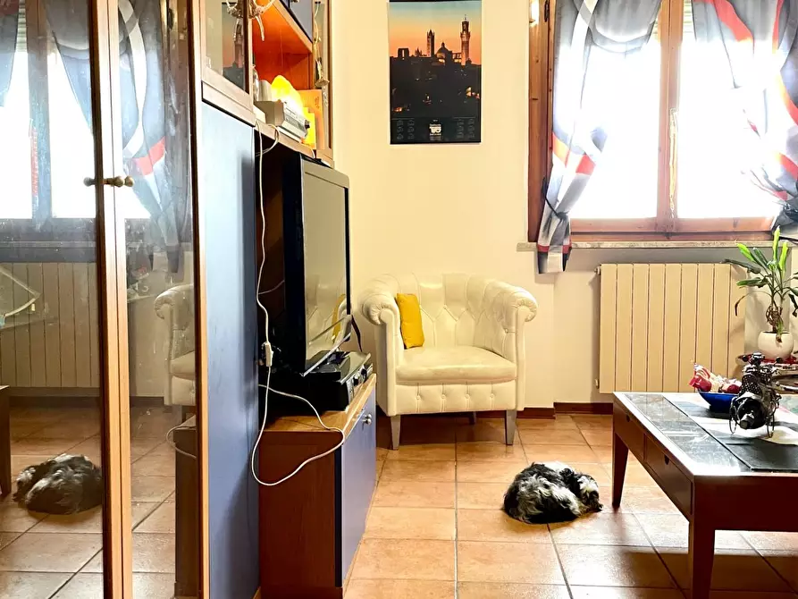 Immagine 11 di Appartamento in vendita  a Siena