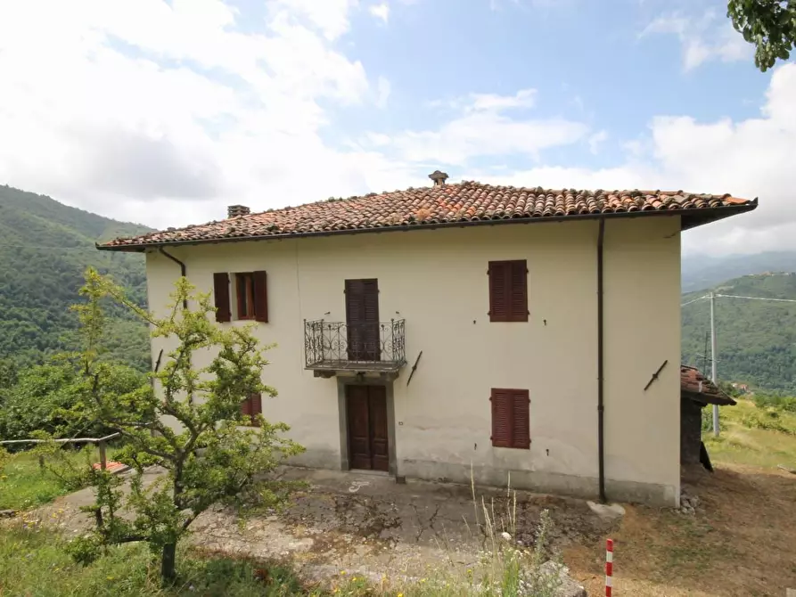 Immagine 2 di Casa indipendente in vendita  a Fosciandora