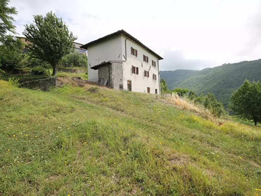 Immagine 8 di Casa indipendente in vendita  a Fosciandora
