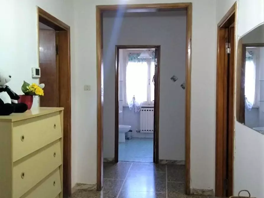 Immagine 15 di Appartamento in affitto  a Pisa