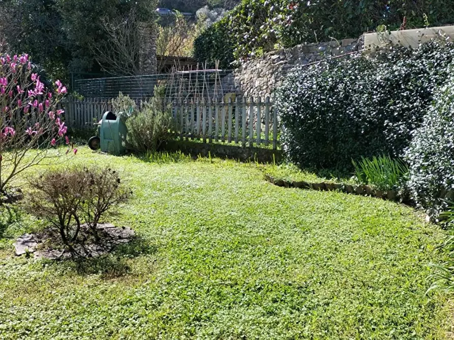 Immagine 35 di Terratetto in vendita  a Arcola