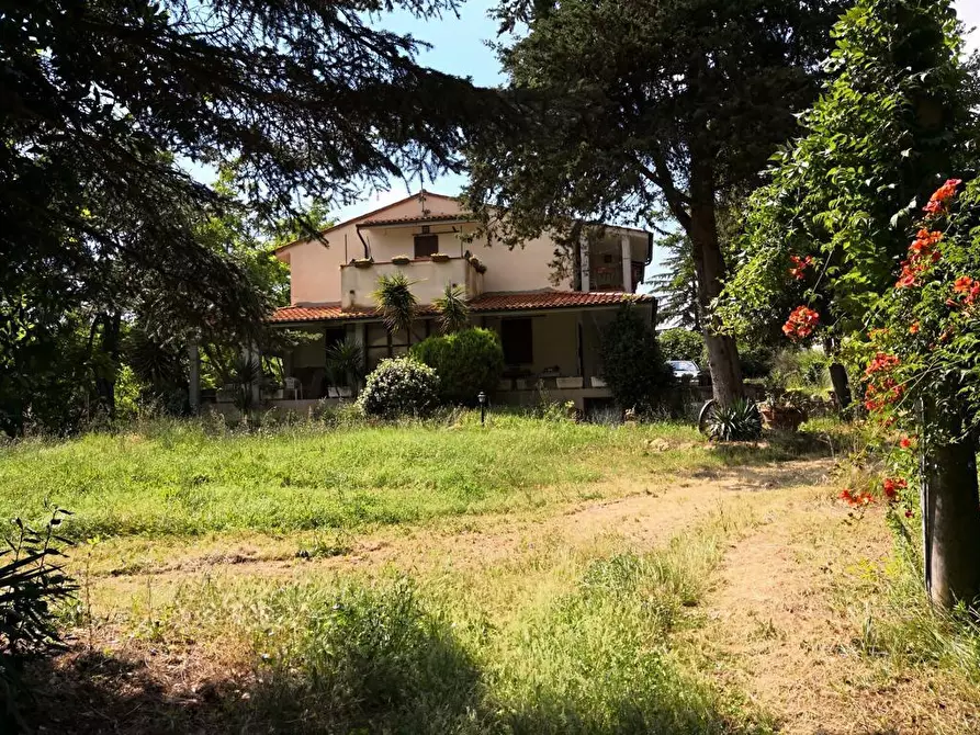 Immagine 1 di Azienda agricola in vendita  a Palaia