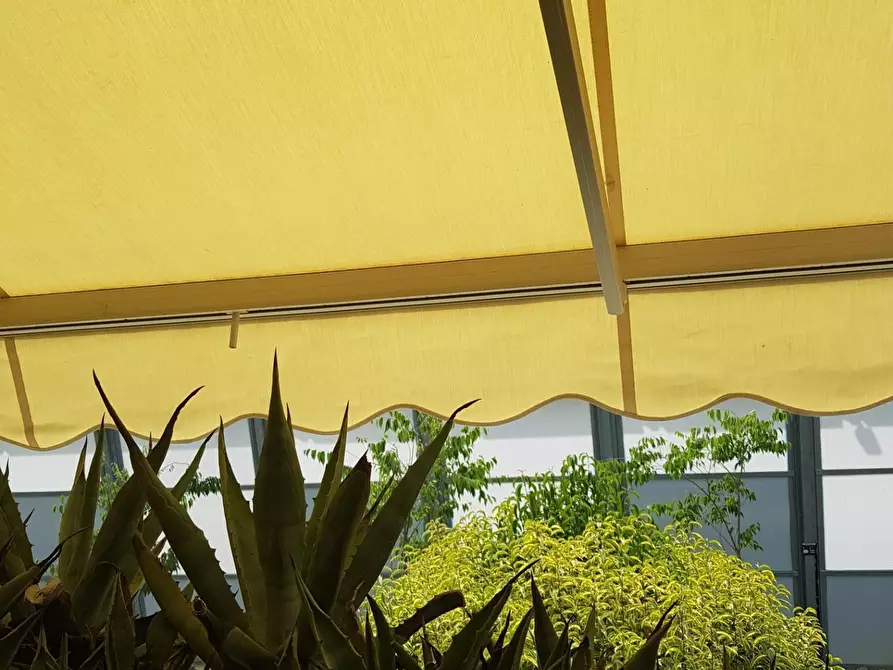 Immagine 6 di Terratetto in vendita  a San Miniato