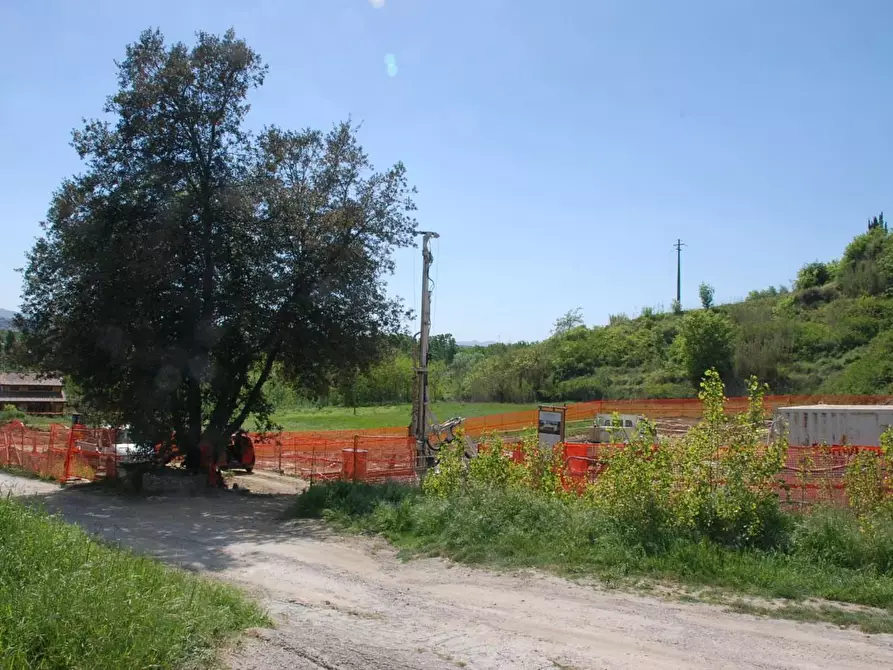 Immagine 4 di Terreno residenziale in vendita  a Palaia