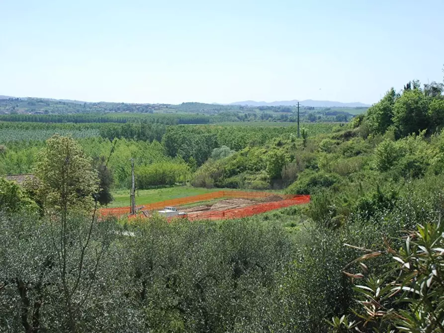 Immagine 3 di Terreno residenziale in vendita  a Palaia