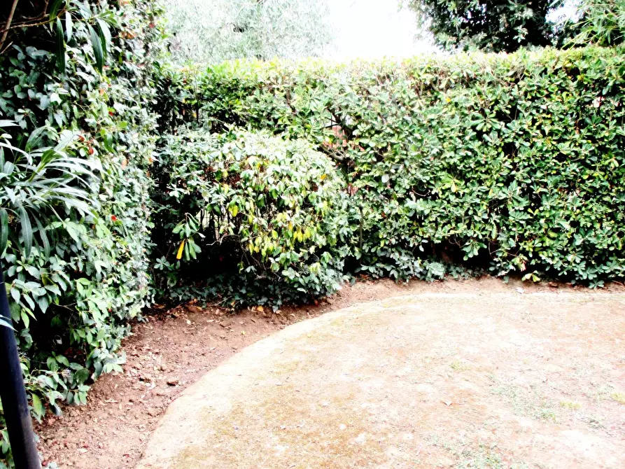 Immagine 6 di Casa bifamiliare in vendita  a Pontedera