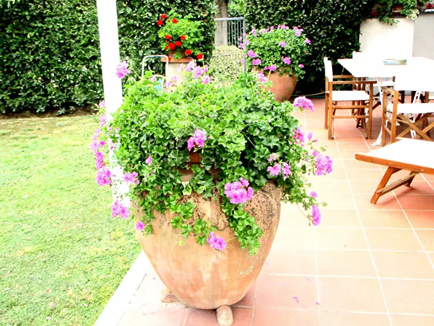 Immagine 4 di Casa bifamiliare in vendita  a Pontedera