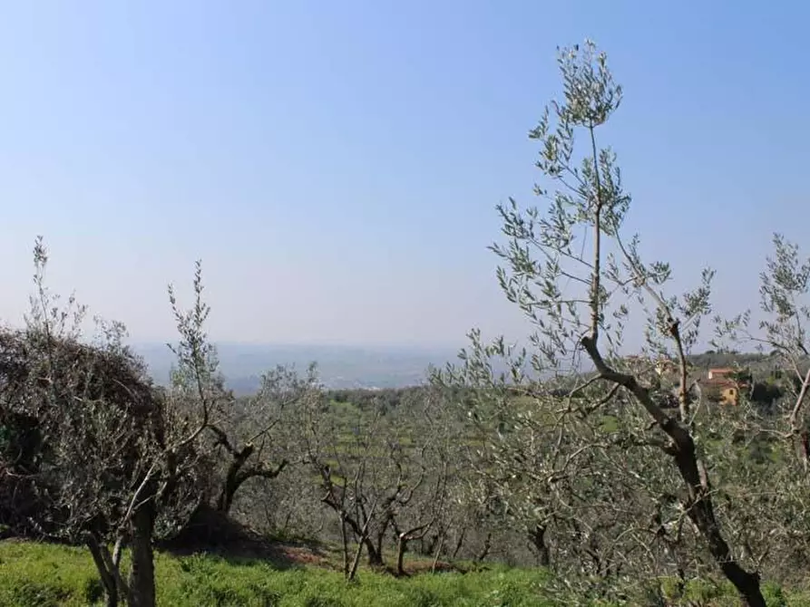 Immagine 4 di Casa colonica in vendita  a Vinci