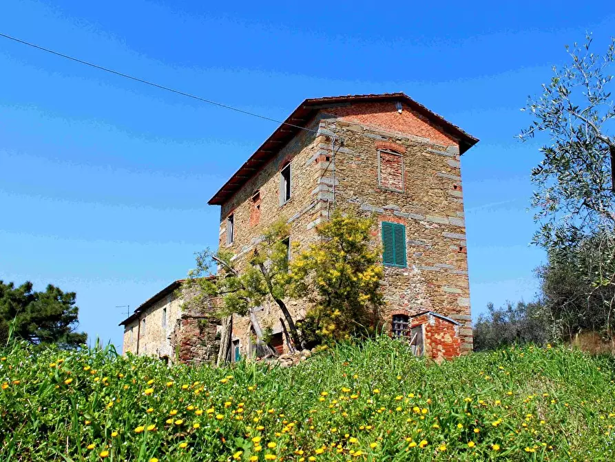 Immagine 6 di Casa colonica in vendita  a Vinci