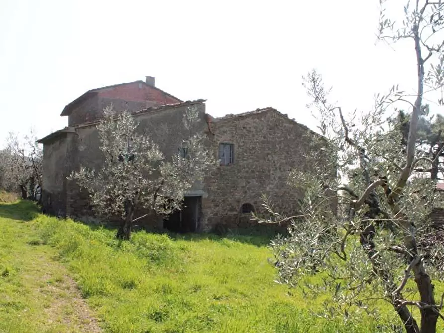 Immagine 7 di Casa colonica in vendita  a Vinci