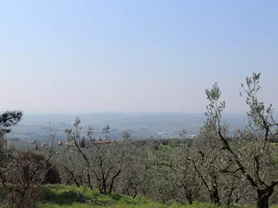 Immagine 5 di Casa colonica in vendita  a Vinci