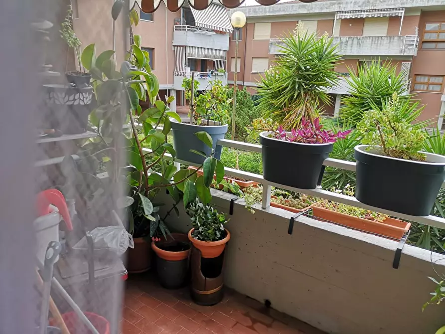 Immagine 6 di Appartamento in vendita  a Pisa