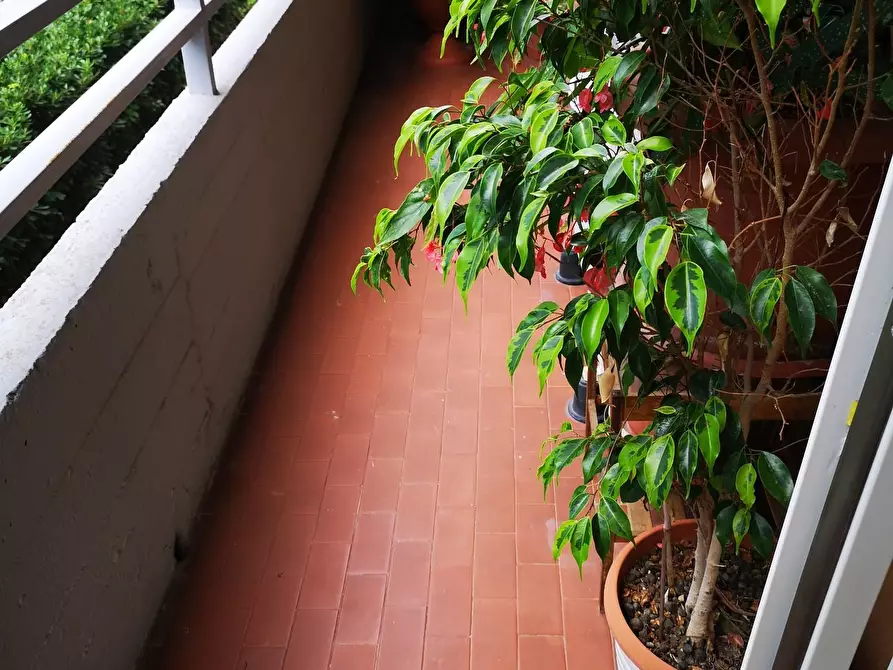 Immagine 13 di Appartamento in vendita  a Pisa