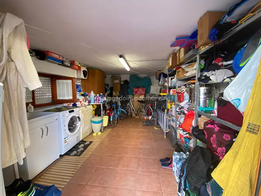 Immagine 14 di Appartamento in vendita  a Rosignano Marittimo