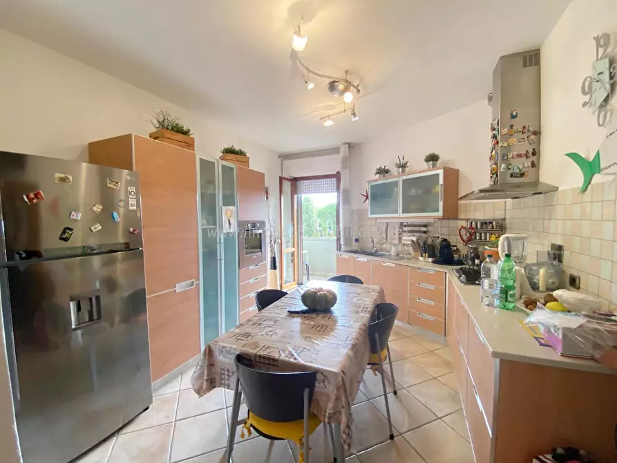 Immagine 3 di Appartamento in vendita  a Rosignano Marittimo