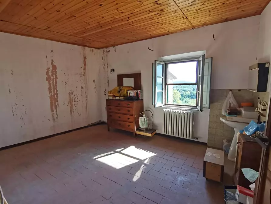 Immagine 7 di Terratetto in vendita  a Palaia