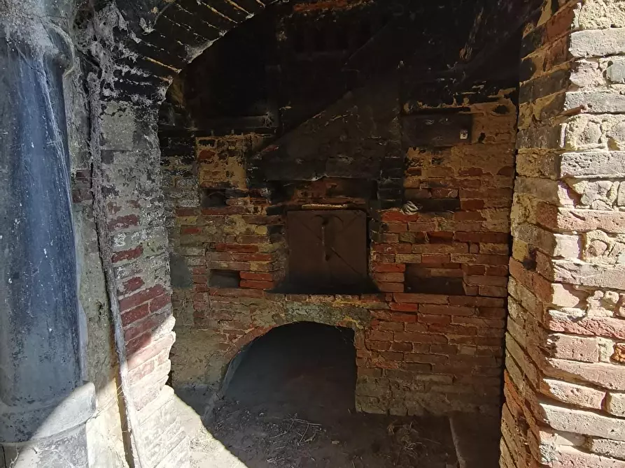 Immagine 15 di Terratetto in vendita  a Palaia