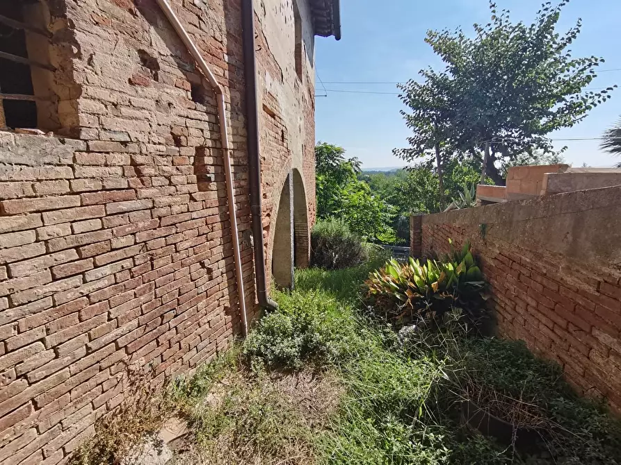 Immagine 13 di Terratetto in vendita  a Palaia
