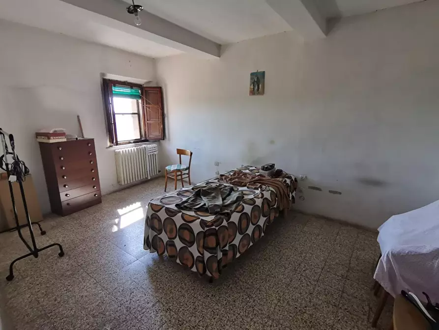 Immagine 27 di Terratetto in vendita  a Palaia