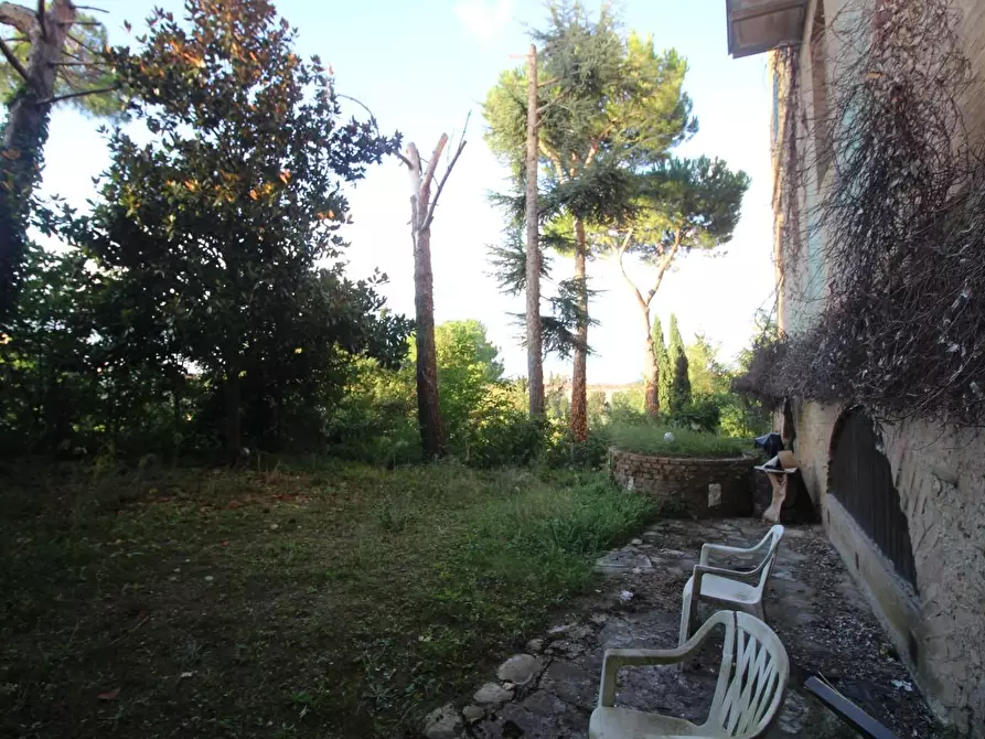 Immagine 14 di Appartamento in vendita  a Siena