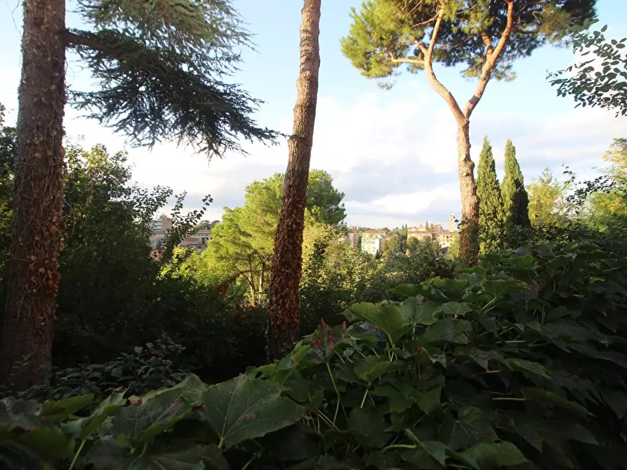 Immagine 15 di Appartamento in vendita  a Siena