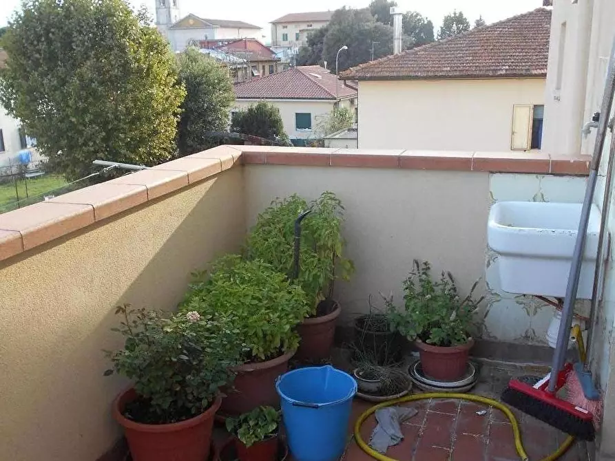 Immagine 4 di Appartamento in vendita  a Collesalvetti